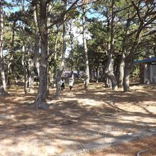 いそぎ公園で撮影