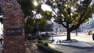 大阪市庁裏のバラ園