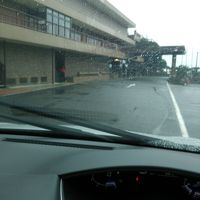 こんな写真ですみません  く