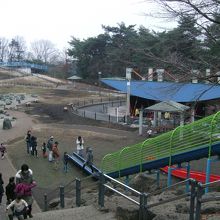 遊具がたくさんあります