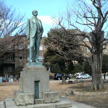 直立してポーズを決めています。