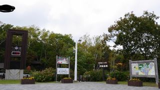 気軽に楽しめます