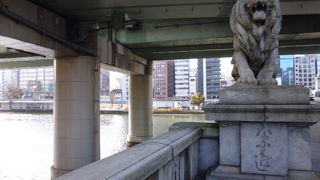 豪華なライオン模様