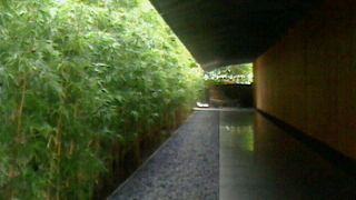 外国人観光客が選ぶ日本の美術館に選ばれたらしいです