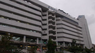 屋上の南国テイストが素敵です