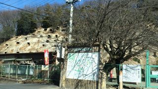 不思議な光景！