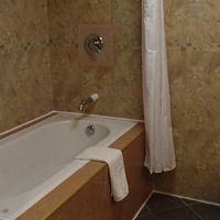 ゆったりしたバスタブに、トイレに簡易ウォシュレット付き