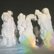 間近に見るモンスターの迫力に大満足