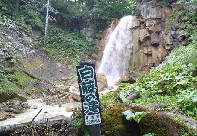 落差は低いが水量は豊富