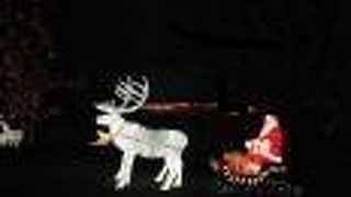 冬はイルミネーション