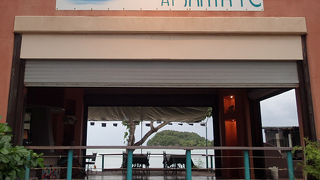 海沿いのレストランのハエ対策