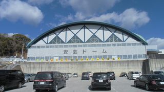 阪神タイガースキャンプ