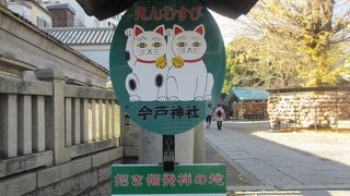 若い娘限定っぽい(泣)