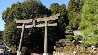 夫婦杉で絆を！