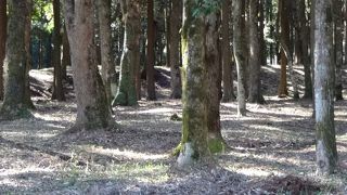 間違いなく大物の古墳があります