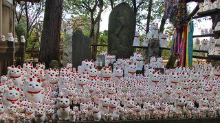 招き猫がいっぱい