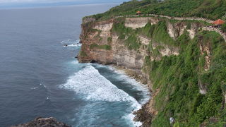 お猿さんに注意