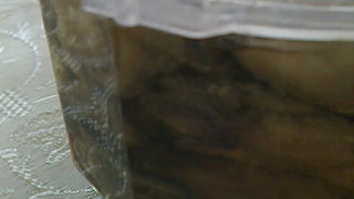 今年は殻つき牡蠣の持ち帰りはないけれど、これはおすすめ！