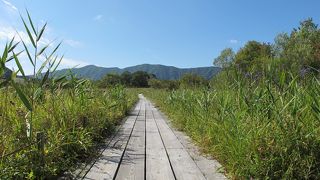 秋の景色を求めて