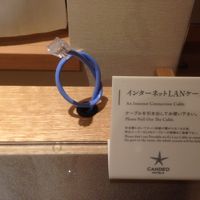 インターネット環境も良好です。Wi-Fiも使えます。