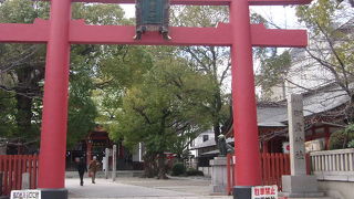 マニアックな靭（うつぼ）碑もあります