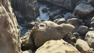 願い事は運玉に託して