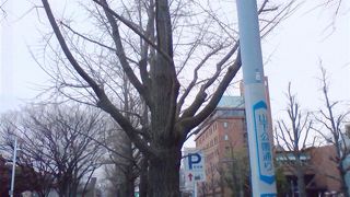 山下公園に面した道路