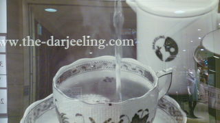 女性客に圧倒的人気です