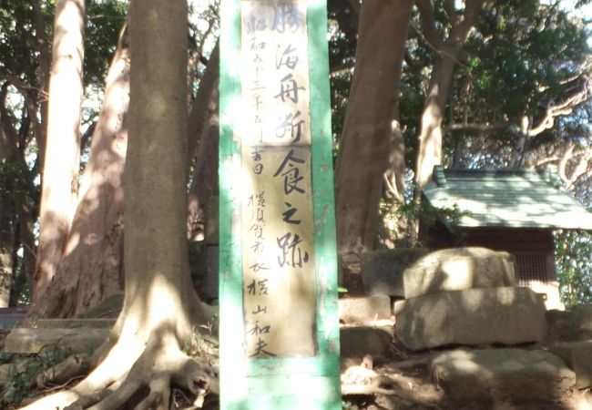 横須賀市東浦賀の「東叶神社」裏山にあります