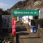 白浜フラワーパーク クチコミ アクセス 営業時間 白浜 千葉 フォートラベル 白浜フラワーパーク クチコミ アクセス 営業時間 白浜 千葉 フォートラベル