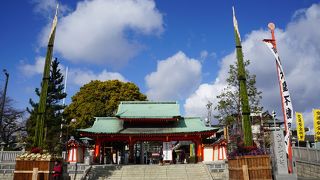 バスは本数があるので便利です