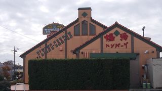 フライングガーデン 野田ウニクス店