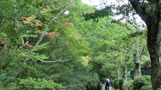 そぞろ歩きが楽しい哲学の道