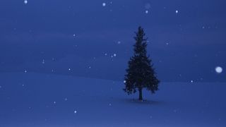 雪の中のツリーは冬の美瑛のシンボル