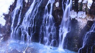 冬は雪とのコントラストが見事！