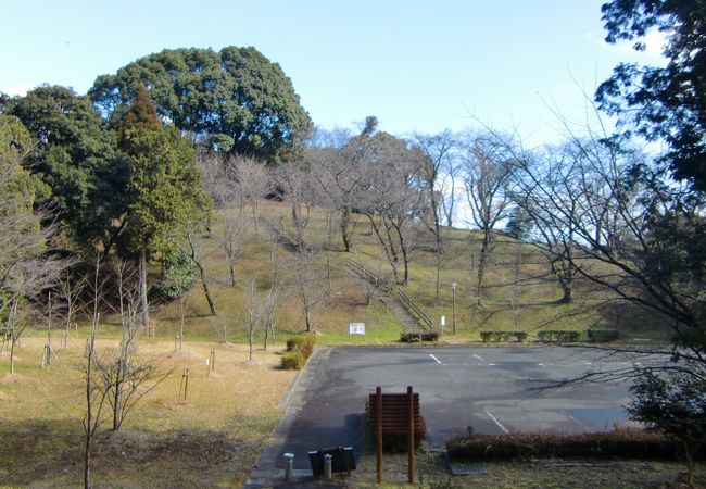 桜の名所の田代公園