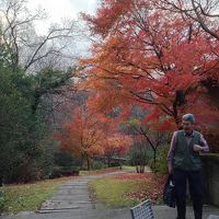 朝のウォーキング