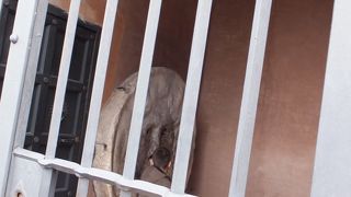 外から見ることもできますが、写真をとってもらいましょう