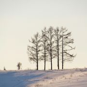 遠くから眺めるのが一番