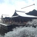 雪の清水寺