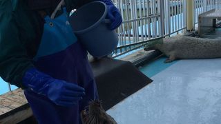 子ども連れにはいいです。