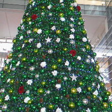 ツリーのようす