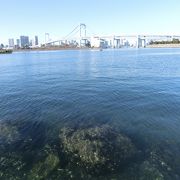 東京湾の水も意外と綺麗でした