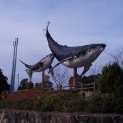 天空を泳ぐくじらの親子