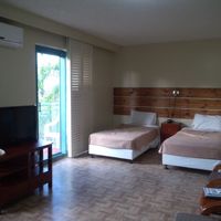 シンプルで広い客室