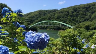 俺の庭じゃん！