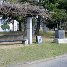 公園内には休憩スポットもたくさん点在しています