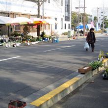 公園の北側道路は日曜市で歩行者天国になっていました