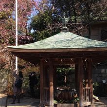 洗心が素敵なんですよ♪