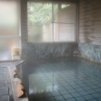 温泉はわりとこじんまりですが露天もあります。